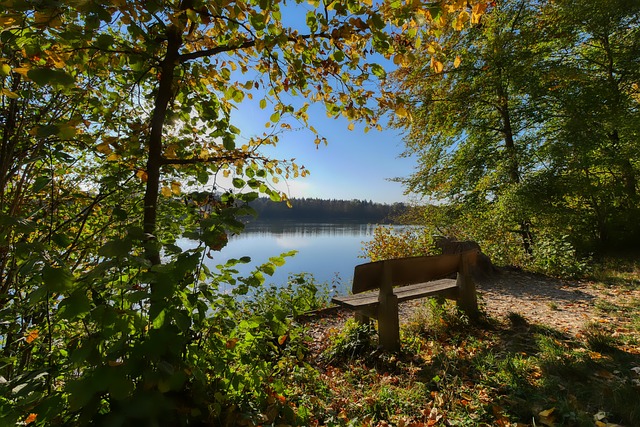 令人唏嘘 令人唏嘘