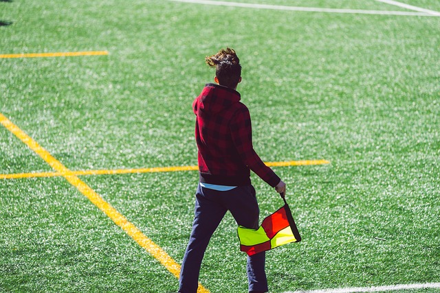 已经不是国 已经不是国