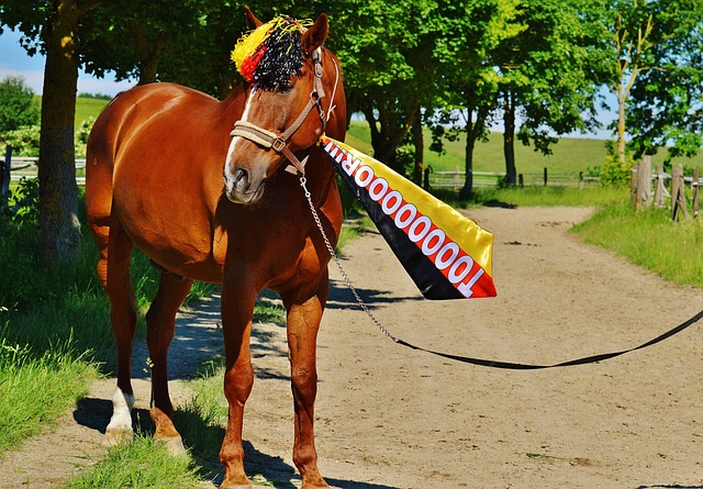 對陣德國的 對陣德國的