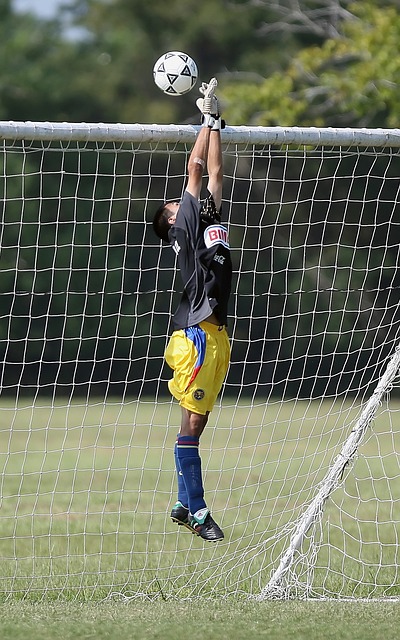 健身活动真 健身活动真