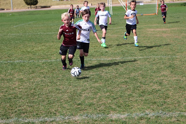 作为种子选 作为种子选