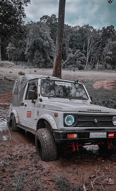 帕尔默的成 帕尔默的成